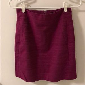 Ann Taylor Skirt